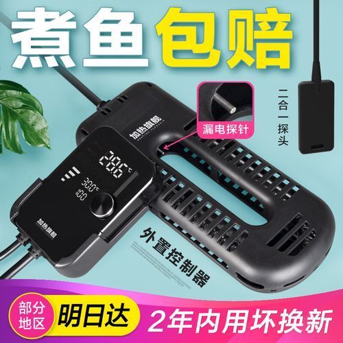 如何預(yù)防龍魚浮頭的發(fā)生，如何預(yù)防龍魚浮頭發(fā)生思考完成arxiv論文助手
