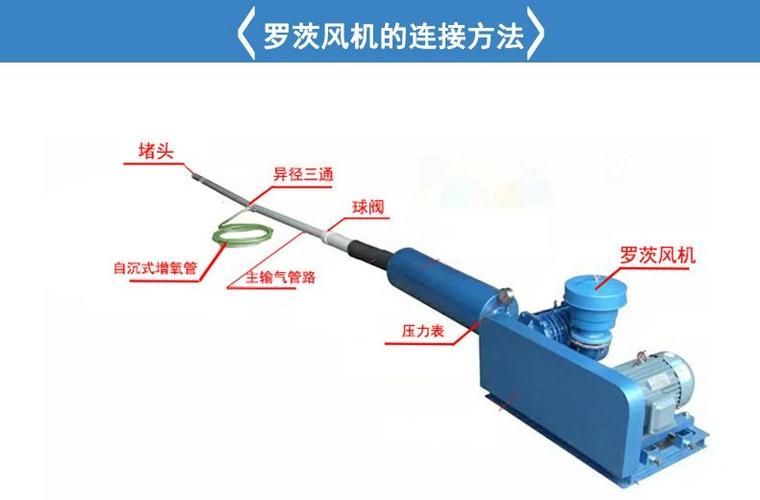 如何預(yù)防龍魚浮頭的發(fā)生，如何預(yù)防龍魚浮頭發(fā)生思考完成arxiv論文助手