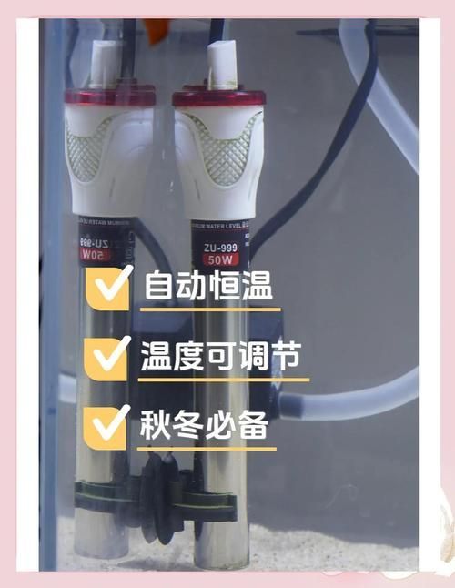 如何預(yù)防龍魚浮頭的發(fā)生，如何預(yù)防龍魚浮頭發(fā)生思考完成arxiv論文助手