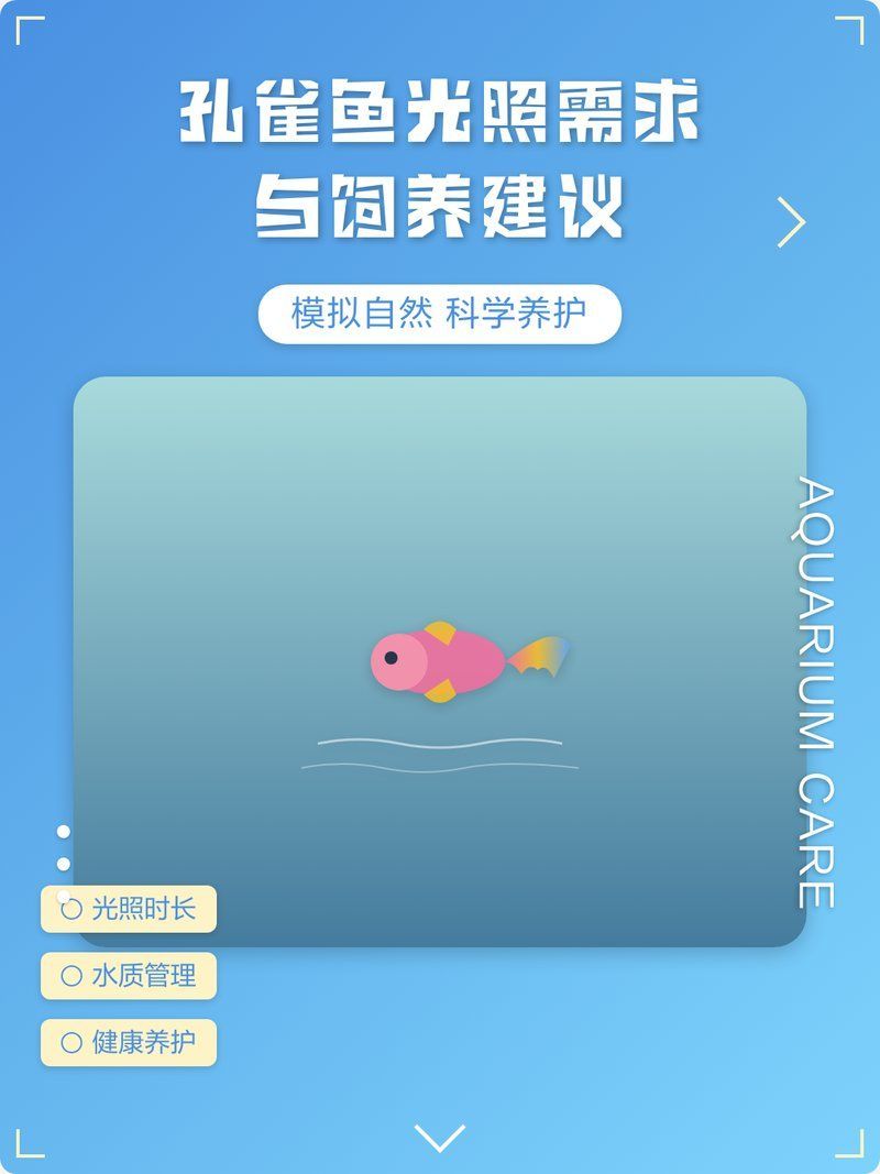 如何為孔雀魚提供適宜的光照環(huán)境，孔雀魚光照的三大關(guān)鍵詞：孔雀魚光照的三大關(guān)鍵詞 如何為孔雀魚提供適宜的光照環(huán)境，孔雀魚光照的三大關(guān)鍵詞：孔雀魚光照的三大關(guān)鍵詞 龍魚百科 第2張