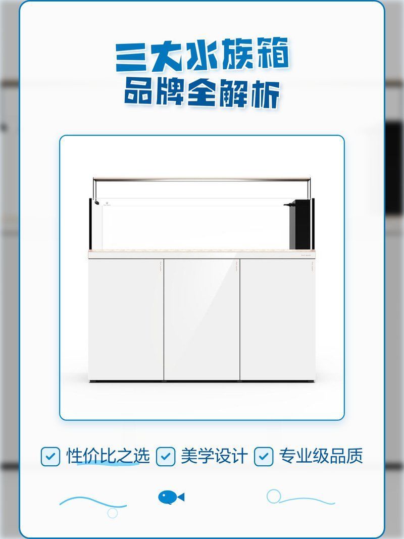 森森和閩江水族哪個更耐用？，森森和閩江水族哪個更耐用森森和閩江水族哪個更耐用