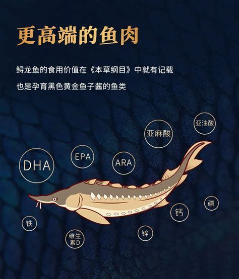 鱘龍魚的最佳食用頻率是多少？，鱘龍魚最佳食用頻率是多少鱘龍魚最佳食用頻率是多少