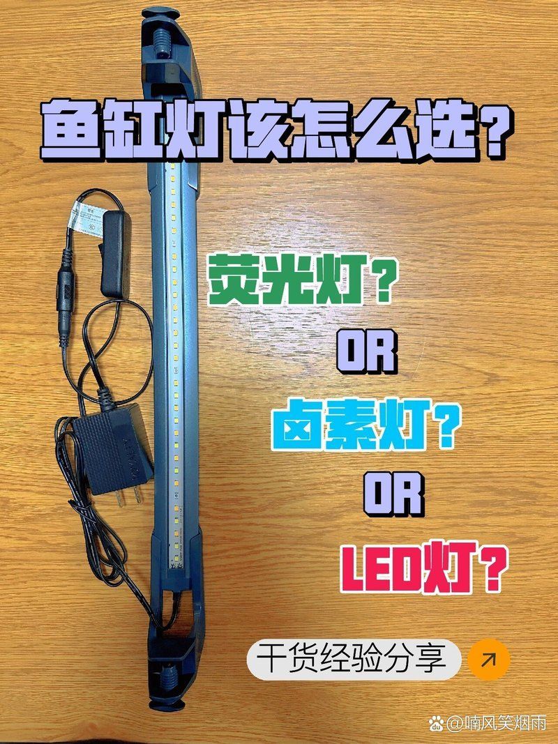 如何選擇合適的魚缸補光燈 如何選擇合適的魚缸補光燈 龍魚百科 第4張