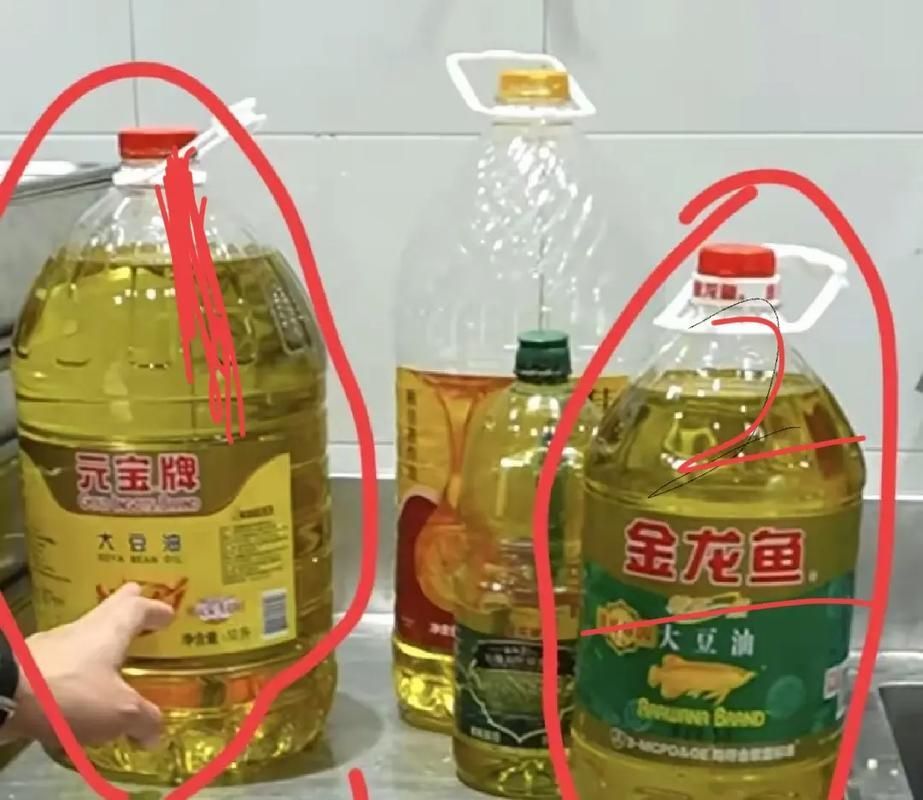 金龍魚和元寶牌哪個品牌更好？