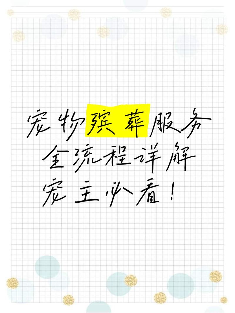 有哪些專業(yè)的寵物火化服務(wù)，北京專業(yè)寵物火化服務(wù) 有哪些專業(yè)的寵物火化服務(wù)，北京專業(yè)寵物火化服務(wù) 龍魚百科 第1張