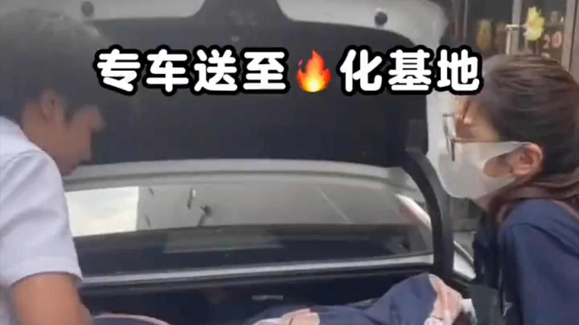 有哪些專業(yè)的寵物火化服務(wù)，北京專業(yè)寵物火化服務(wù) 有哪些專業(yè)的寵物火化服務(wù)，北京專業(yè)寵物火化服務(wù) 龍魚百科 第2張