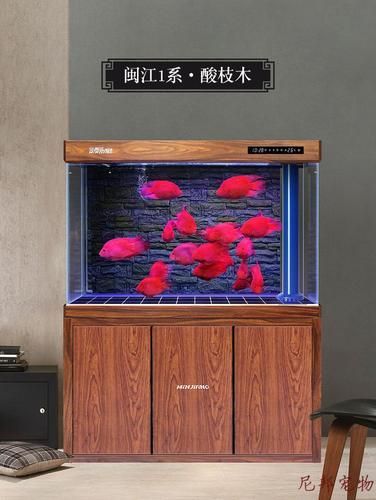 龍魚(yú)缸的最佳尺寸圖紙，龍魚(yú)缸最佳尺寸圖紙 龍魚(yú)缸的最佳尺寸圖紙，龍魚(yú)缸最佳尺寸圖紙 龍魚(yú)百科 第10張