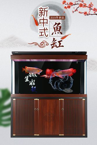 龍魚(yú)缸的最佳尺寸圖紙，龍魚(yú)缸最佳尺寸圖紙 龍魚(yú)缸的最佳尺寸圖紙，龍魚(yú)缸最佳尺寸圖紙 龍魚(yú)百科 第13張
