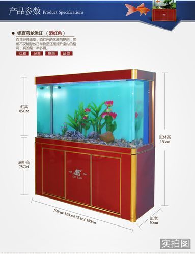 龍魚(yú)缸的最佳尺寸圖紙，龍魚(yú)缸最佳尺寸圖紙 龍魚(yú)缸的最佳尺寸圖紙，龍魚(yú)缸最佳尺寸圖紙 龍魚(yú)百科 第8張