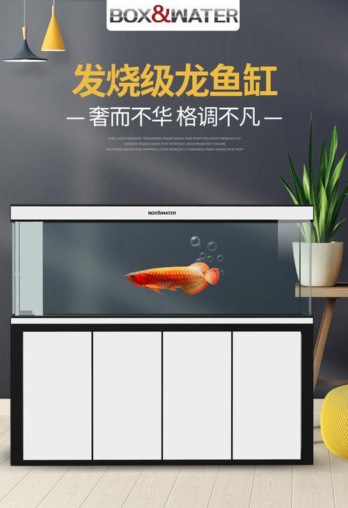 龍魚(yú)缸的最佳尺寸圖紙，龍魚(yú)缸最佳尺寸圖紙 龍魚(yú)缸的最佳尺寸圖紙，龍魚(yú)缸最佳尺寸圖紙 龍魚(yú)百科 第9張