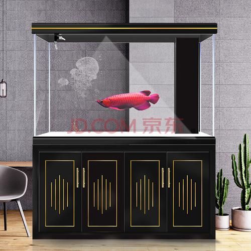 龍魚(yú)缸的最佳尺寸圖紙，龍魚(yú)缸最佳尺寸圖紙 龍魚(yú)缸的最佳尺寸圖紙，龍魚(yú)缸最佳尺寸圖紙 龍魚(yú)百科 第11張