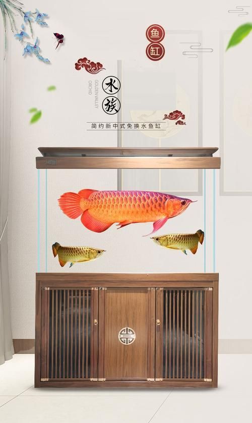 龍魚(yú)缸的最佳尺寸圖紙，龍魚(yú)缸最佳尺寸圖紙 龍魚(yú)缸的最佳尺寸圖紙，龍魚(yú)缸最佳尺寸圖紙 龍魚(yú)百科 第6張