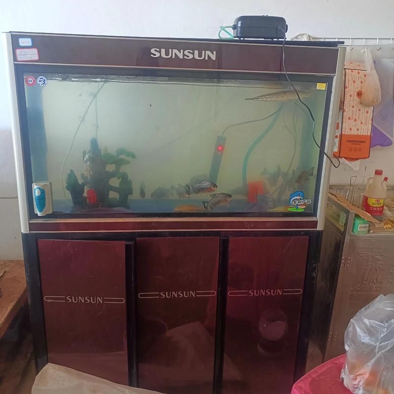 森森、閩江、彩鰈哪個(gè)品牌最好？，森森、閩江、彩鰈、閩江、彩鰈哪個(gè)品牌最好
