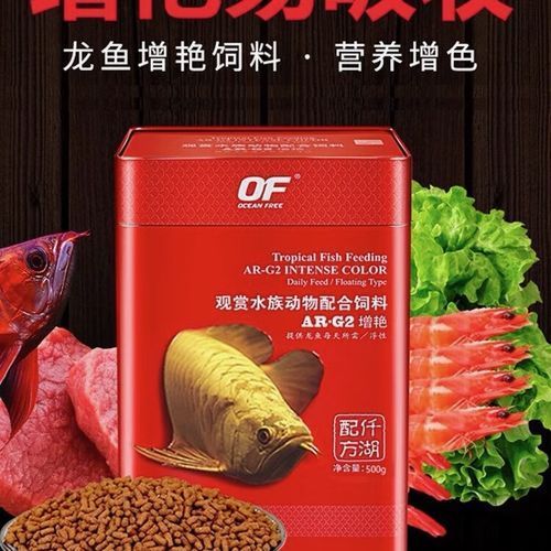 龍魚魚食哪個系列性價比最高？，高缸龍魚飼養需要哪些設備？ 龍魚魚食哪個系列性價比最高？，高缸龍魚飼養需要哪些設備？ 龍魚百科 第13張