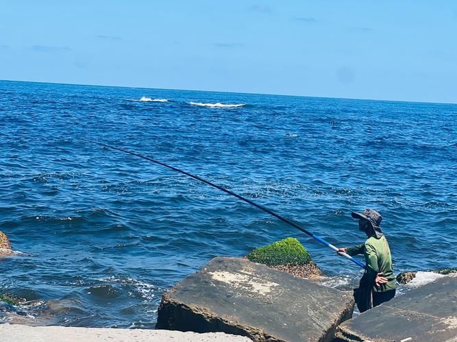 廣東釣觀魚最佳天氣，廣東釣觀魚最佳天氣詳解（最佳天氣實踐指南）（1000字詳解）