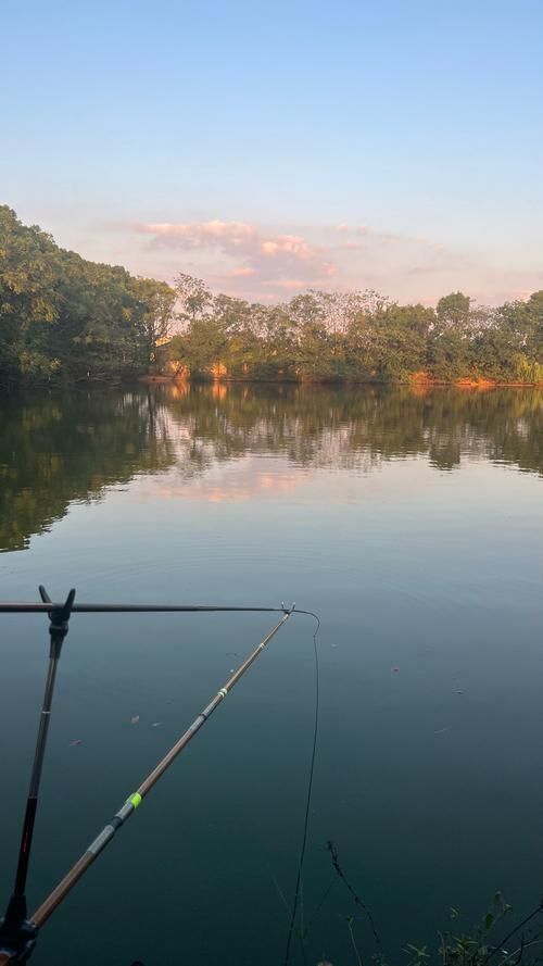 廣東釣觀魚最佳天氣，廣東釣觀魚最佳天氣詳解（最佳天氣實踐指南）（1000字詳解）
