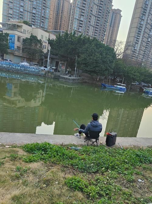 廣東釣觀魚最佳天氣，廣東釣觀魚最佳天氣詳解（最佳天氣實踐指南）（1000字詳解）