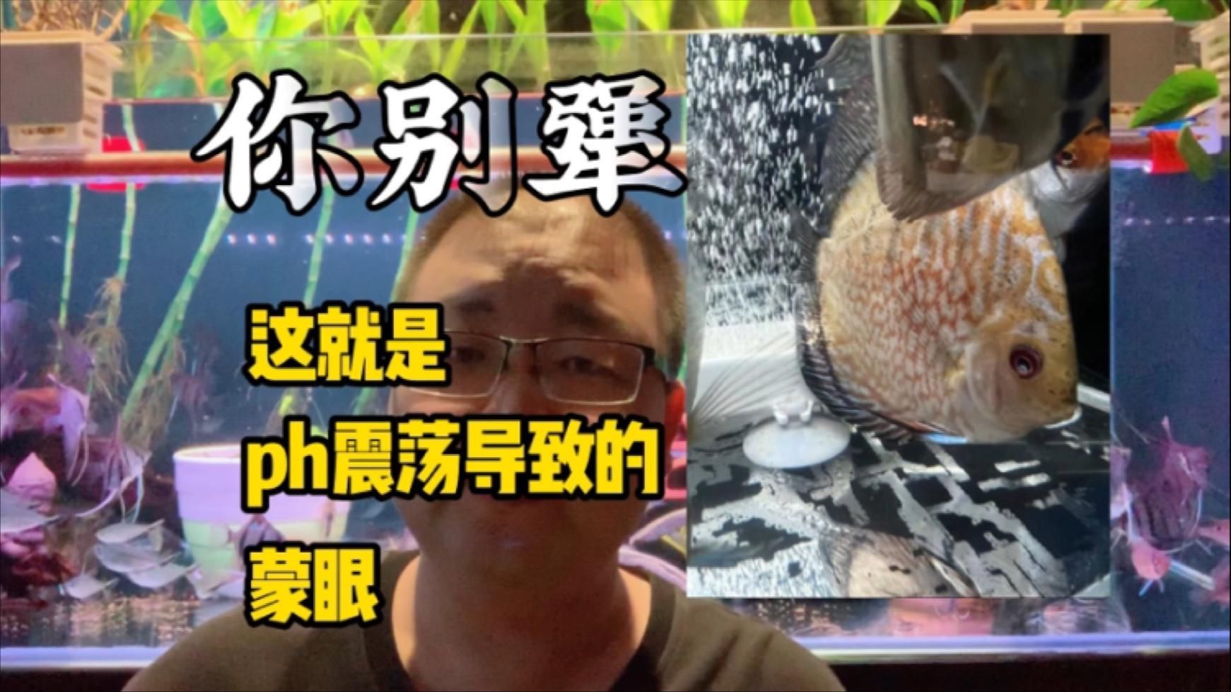 魚蒙眼怎么治療最有效，治療魚蒙眼的最有效方法是使用藥物治療魚蒙眼的最有效方法 魚蒙眼怎么治療最有效，治療魚蒙眼的最有效方法是使用藥物治療魚蒙眼的最有效方法 龍魚百科 第2張