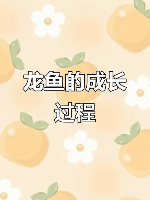 萬山龍魚的養殖方法