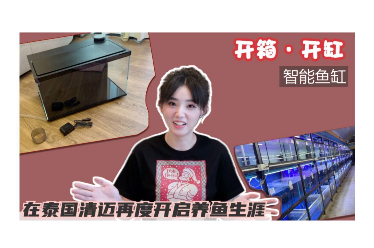 有哪些適合新手的養魚工具，新手養魚工具推薦 有哪些適合新手的養魚工具，新手養魚工具推薦 龍魚百科 第7張