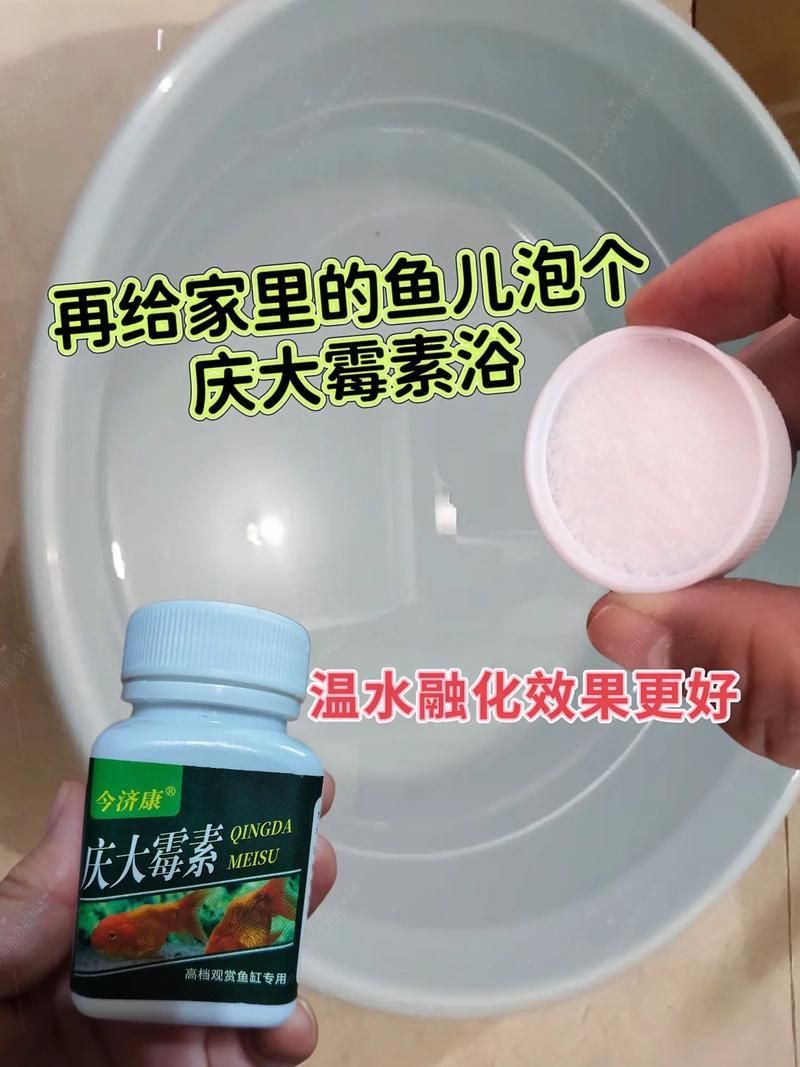 飛鳳魚吸食龍魚傷口后如何治療，飛鳳魚吸食龍魚傷口后如何治療龍魚傷口后如何治療