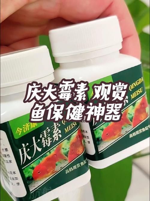 飛鳳魚吸食龍魚傷口后如何治療，飛鳳魚吸食龍魚傷口后如何治療龍魚傷口后如何治療