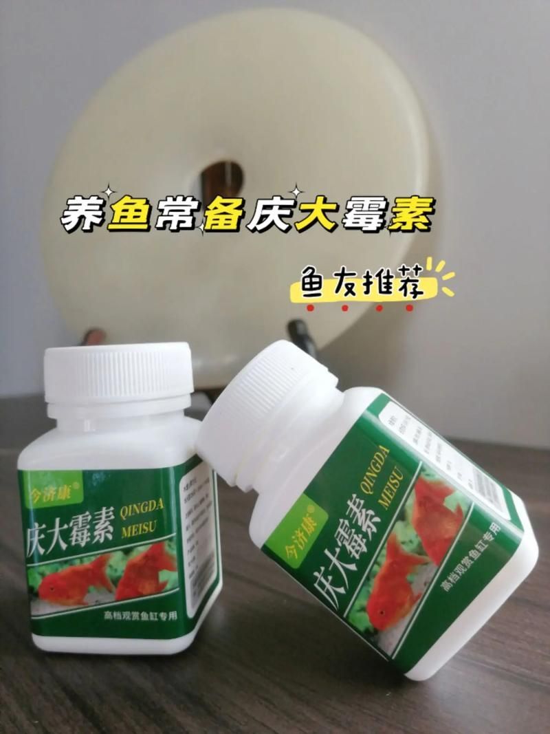 飛鳳魚吸食龍魚傷口后如何治療，飛鳳魚吸食龍魚傷口后如何治療龍魚傷口后如何治療