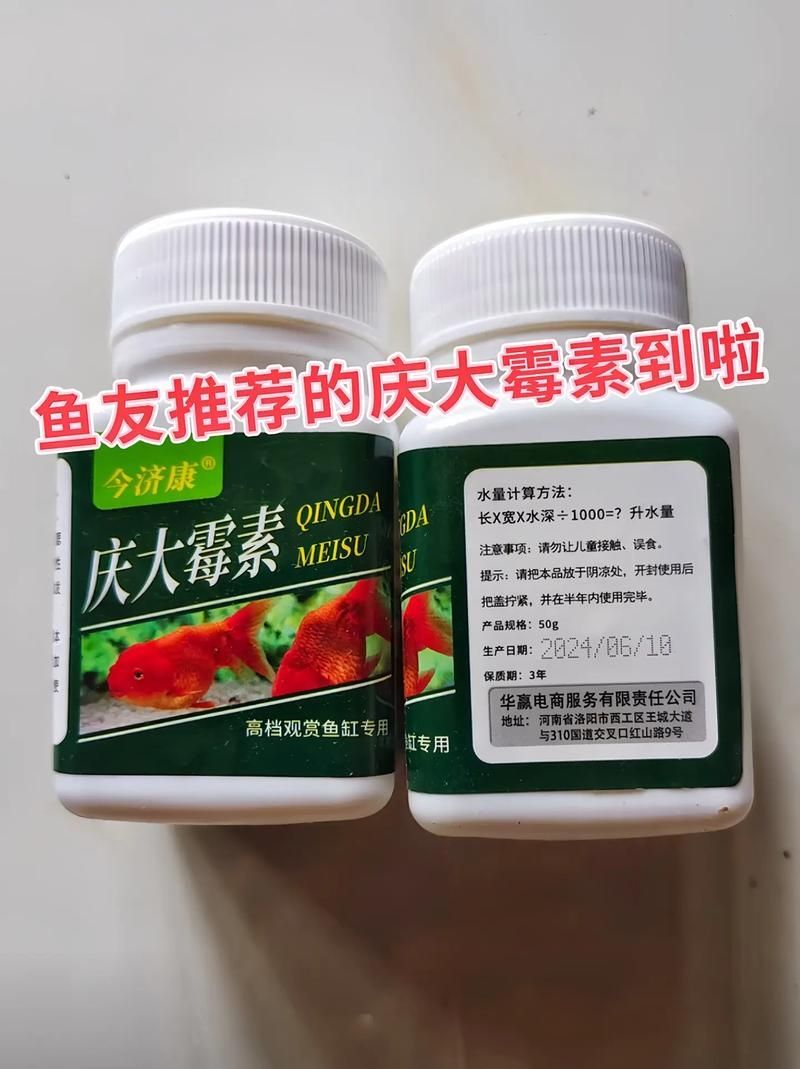 飛鳳魚吸食龍魚傷口后如何治療，飛鳳魚吸食龍魚傷口后如何治療龍魚傷口后如何治療