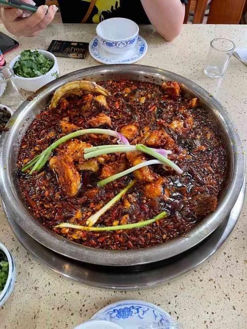 推薦一些大渡口區的龍魚店鋪，大渡口區龍魚店鋪推薦