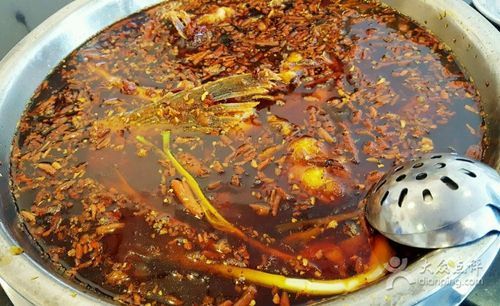 推薦一些大渡口區的龍魚店鋪，大渡口區龍魚店鋪推薦