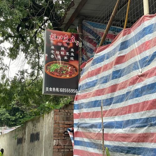 推薦一些大渡口區的龍魚店鋪，大渡口區龍魚店鋪推薦