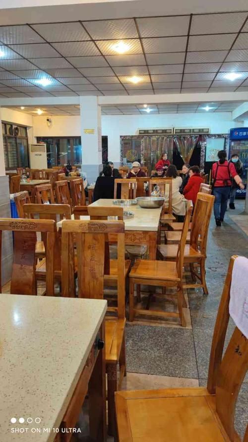 推薦一些大渡口區的龍魚店鋪，大渡口區龍魚店鋪推薦