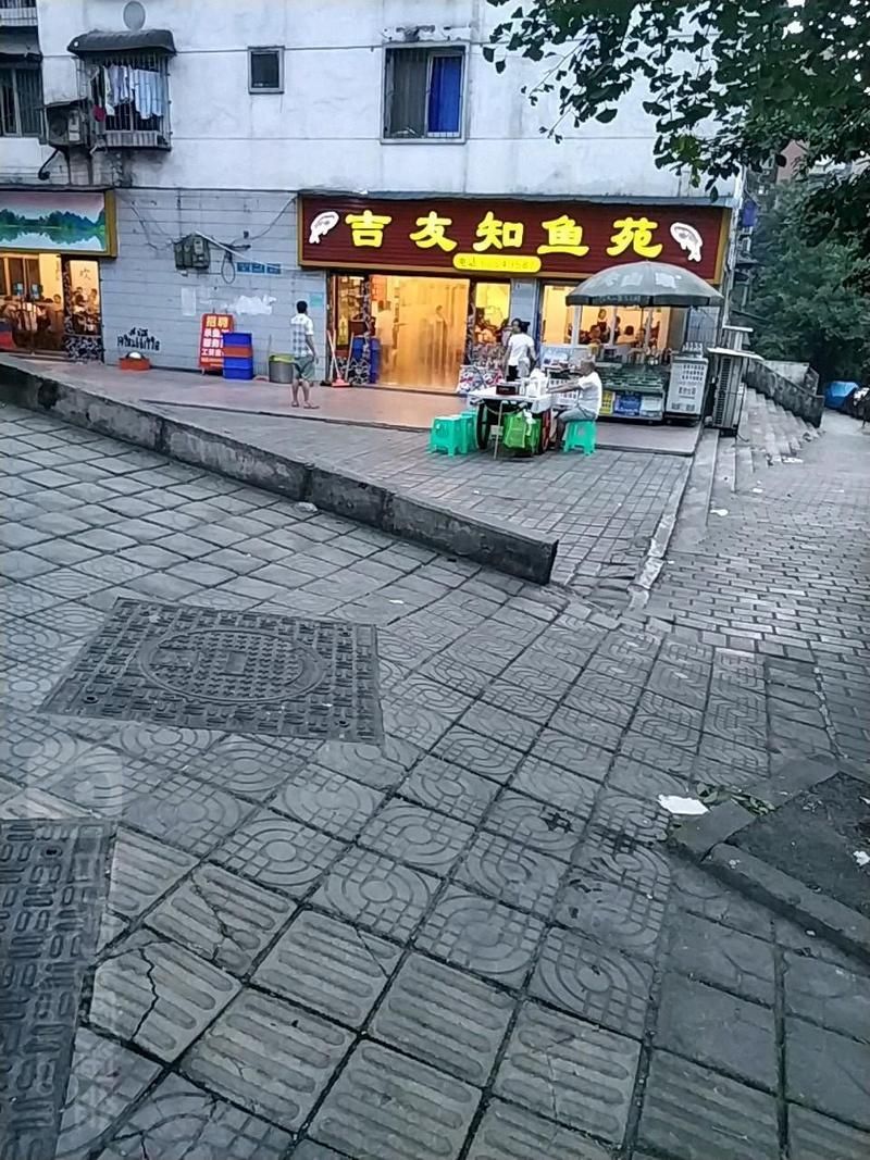 推薦一些大渡口區的龍魚店鋪，大渡口區龍魚店鋪推薦