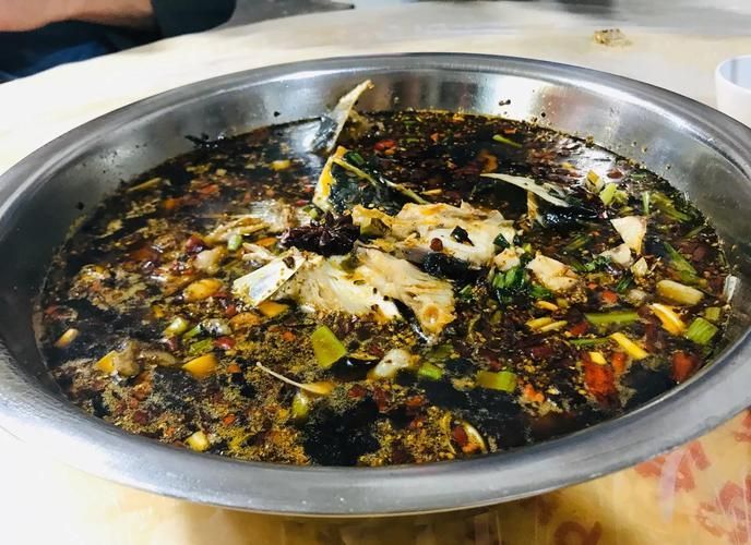 推薦一些大渡口區的龍魚店鋪，大渡口區龍魚店鋪推薦