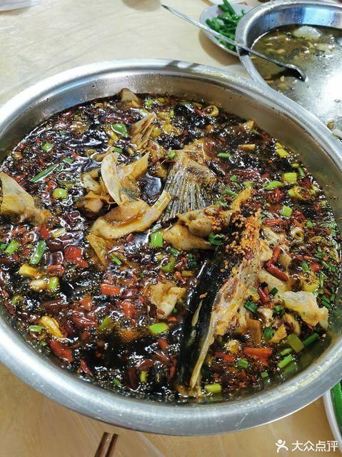 推薦一些大渡口區的龍魚店鋪，大渡口區龍魚店鋪推薦