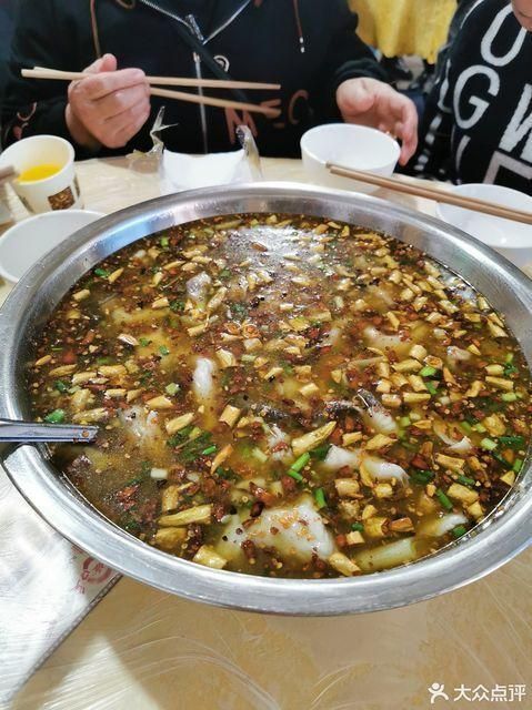 推薦一些大渡口區的龍魚店鋪，大渡口區龍魚店鋪推薦