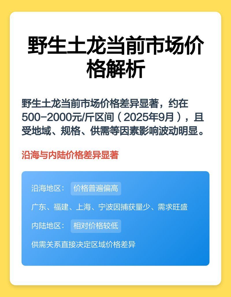 福建土龍魚的市場價格是多少？，福建土龍魚市場價格對比表，