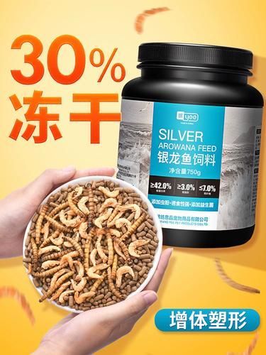 YEE品牌有哪些龍魚糧型號？，yee品牌有哪些龍魚糧型號？