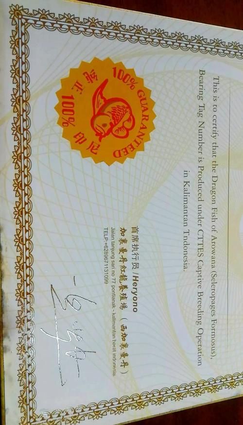 有哪些著名的清水龍魚血統證書，關于清水龍魚血統證書