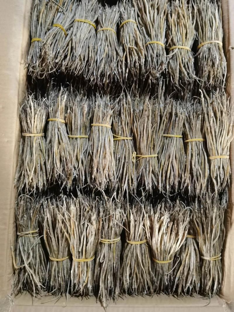 哪里可以買到新鮮的海龍魚？，哪里可以買到新鮮海龍魚