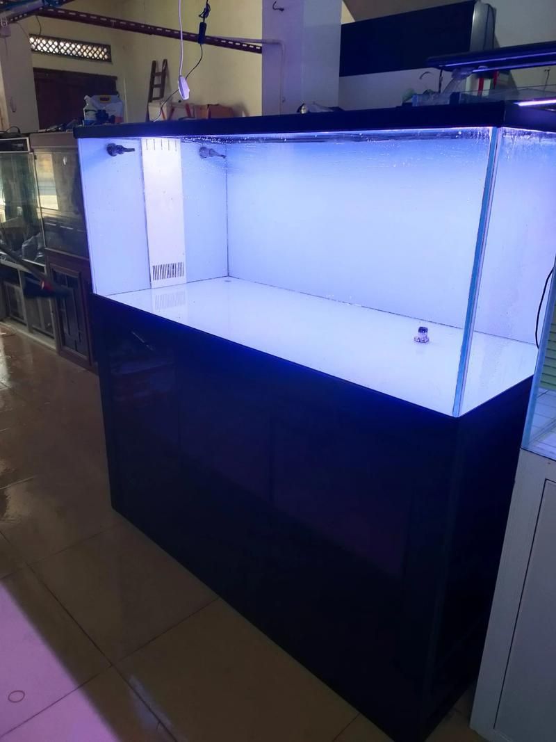 給我一些龍魚專用魚缸的圖片，龍魚專用魚缸圖片