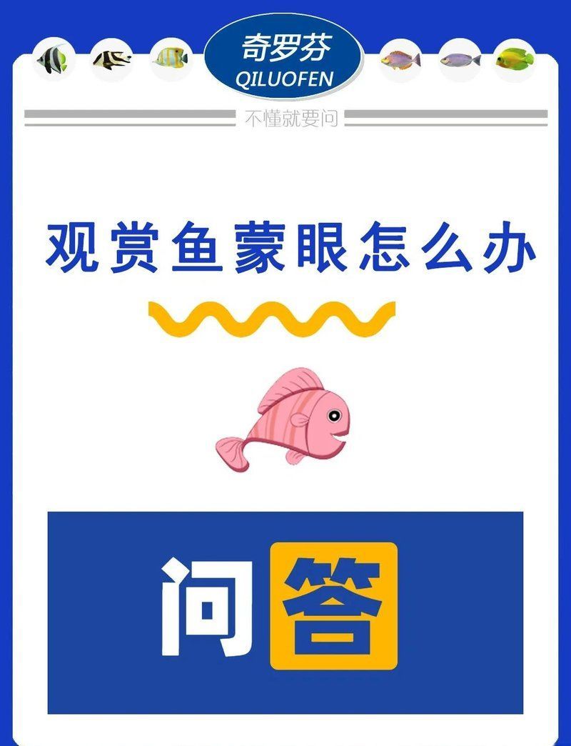 如何判斷觀賞魚蒙眼病嚴重程度，觀賞魚蒙眼病嚴重程度直接影響治療策略和存活率和存活率
