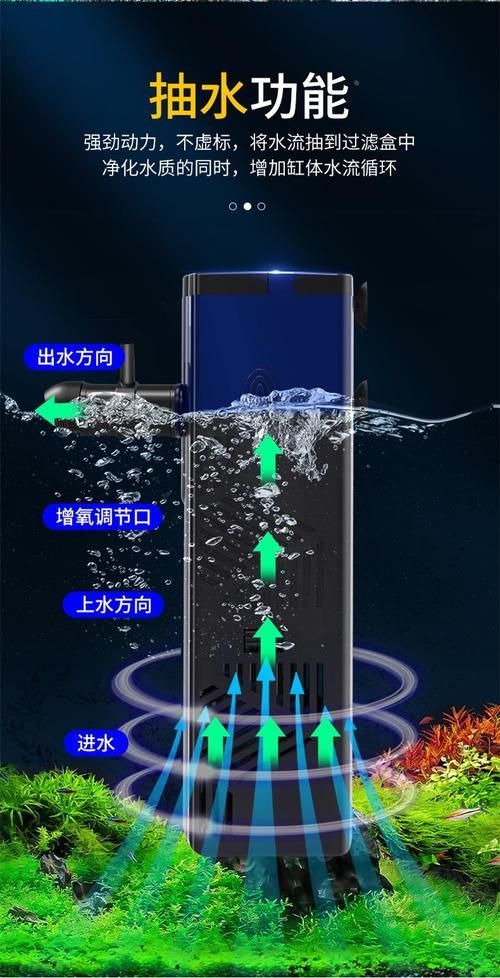 如何預防魚缸缺氧，如何科學預防魚缸缺氧