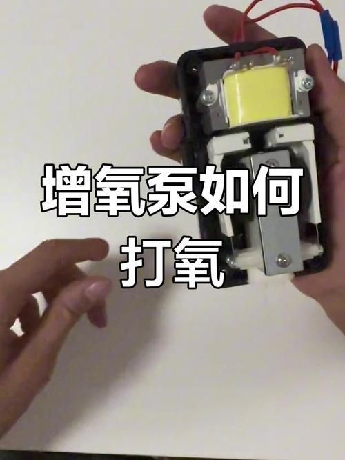 如何預防魚缸缺氧，如何科學預防魚缸缺氧
