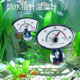 龍魚水溫多久會恢復正常，龍魚水溫多久會恢復正常龍魚水溫多久會恢復正常狀態