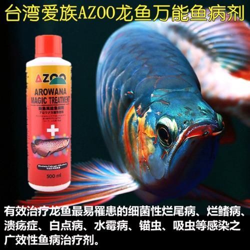 給我一些龍魚爛鰭的圖片示例，如何預(yù)防龍魚爛鰭的發(fā)生