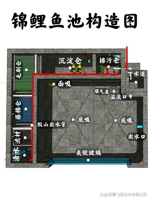 如何預防錦鯉趴缸，如何預防錦鯉趴缸換水溫差≤2℃,換水溫差[需手動填充]1000字詳解 如何預防錦鯉趴缸，如何預防錦鯉趴缸換水溫差≤2℃,換水溫差[需手動填充]1000字詳解 龍魚百科 第12張