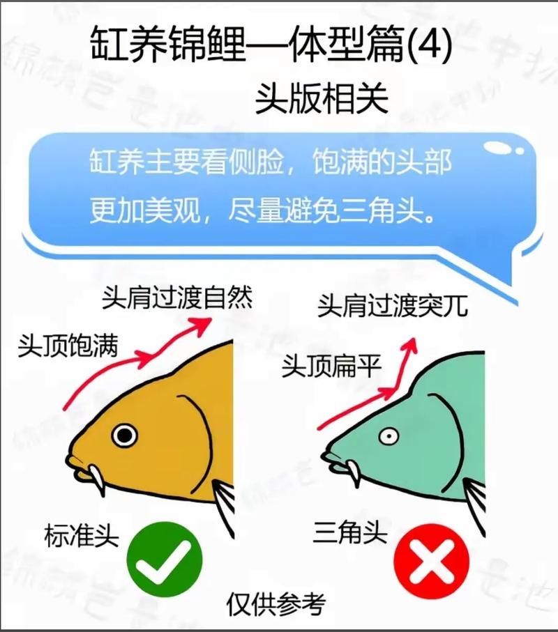 如何預防錦鯉趴缸，如何預防錦鯉趴缸換水溫差≤2℃,換水溫差[需手動填充]1000字詳解 如何預防錦鯉趴缸，如何預防錦鯉趴缸換水溫差≤2℃,換水溫差[需手動填充]1000字詳解 龍魚百科 第17張