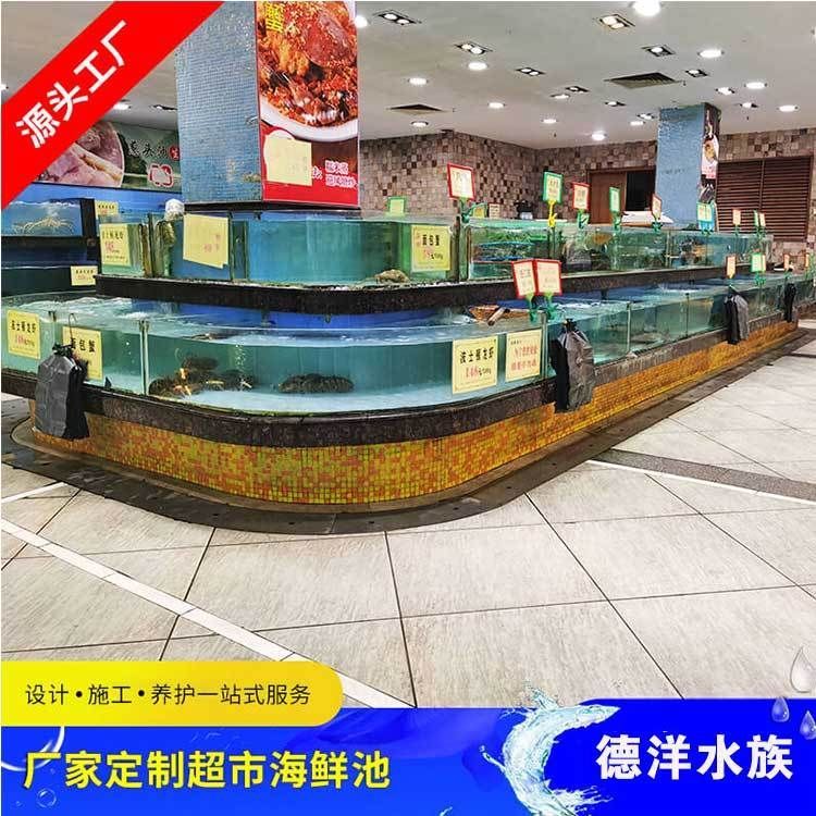 宿州有哪些適合龍魚養殖的魚池？，宿州有哪些適合龍魚養殖的魚池適合龍魚養殖的魚池
