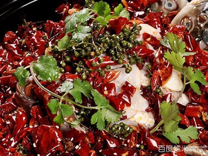 藏龍魚有哪些功效，藏龍魚有哪些食療功效，其功效主要體現在什么地方？